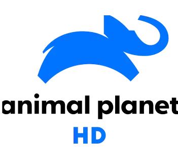 animal-planet.133ee86f